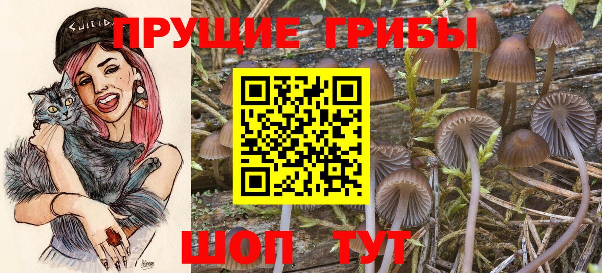 Калач-на-Дону  Галлюциногенные грибы прущие грибы  Вход с VPN 